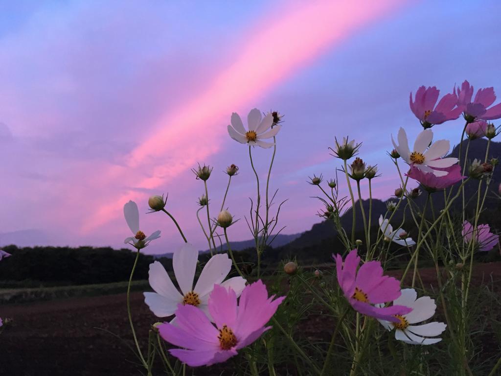 A Private Retreat Cotton Club Cottage Takamori Bagian luar foto